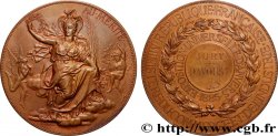 BELGIQUE - ROYAUME DE BELGIQUE - LÉOPOLD II Médaille, Exposition Universelle d’Anvers