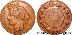 III REPUBLIC Médaille, Grand concours national de tir, Armes de guerre