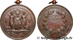 SPORTS Médaille, Société de gymnastique et d’instruction militaire