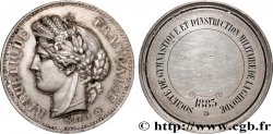 TROISIÈME RÉPUBLIQUE Médaille, Société de gymnastique et d’instruction militaire