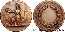 TROISIÈME RÉPUBLIQUE Médaille, Ligue de préparation militaire et d’éducation physique