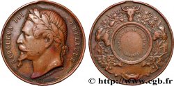 SECOND EMPIRE Médaille, Comice agricole