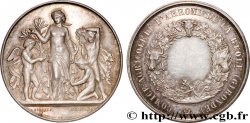 III REPUBLIC Médaille, Comice agricole