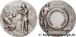 SOCIÉTÉS D AGRICULTURE, HORTICULTURE, PÊCHE ET CHASSE Médaille, Comice Agricole