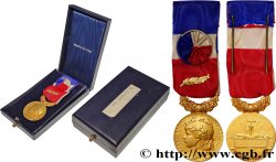 V REPUBLIC Médaille, Honneur et Travail