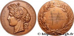 CONSEIL GÉNÉRAL, DÉPARTEMENTAL OU MUNICIPAL - CONSEILLERS Médaille, offert par le conseiller général