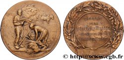 CONSEIL GÉNÉRAL, DÉPARTEMENTAL OU MUNICIPAL - CONSEILLERS Médaille, Offerte par Monsieur de Malartic, conseiller d’arrondissement