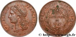 III REPUBLIC Médaille, Centenaire de 1789