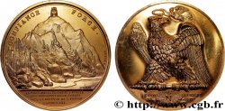 V REPUBLIC Médaille, Armement de la France et de l’Italie refrappe