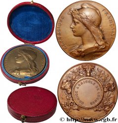 SOCIÉTÉS D AGRICULTURE, HORTICULTURE, PÈCHE ET CHASSE Médaille, Comice Agricole