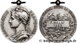 V REPUBLIC Médaille, Honneur du travail, Ministère du Travail et de la Sécurité Sociale