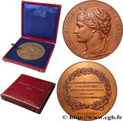 III REPUBLIC Médaille, Révision partielle des lois constitutionnelles