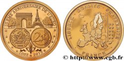 V REPUBLIC Médaille, 10e Anniversaire de l’Euro