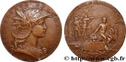 III REPUBLIC Médaille, Concours de tir