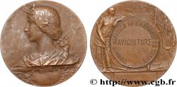 III REPUBLIC Médaille, Comice agricole