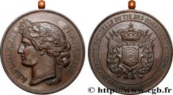 TIR ET ARQUEBUSE Médaille d’honneur, Société Nationale du Tir des communes de France