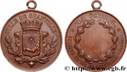 DRITTE FRANZOSISCHE REPUBLIK Médaille, La Patrie, Société de tir
