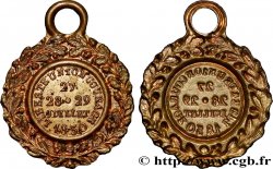 CARLOS X Médaille, Journées de juillet, Les Trois Glorieuses