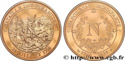 NAPOLEON S EMPIRE Médaille, Bataille des Pyramides