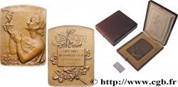 BELGIQUE - ROYAUME DE BELGIQUE - ALBERT Ier Plaquette, Le Soir, Les amis de la basse cour
