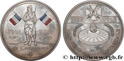 V REPUBLIC Médaille commémorative, Centenaire de la Première Guerre Mondiale