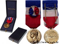 V REPUBLIC Médaille d’honneur du travail, Ministère du travail, Vermeil