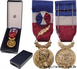 QUINTA REPUBBLICA FRANCESE Médaille d’honneur du Travail, Ministère du Travail, Or