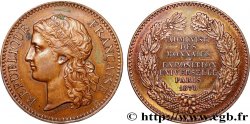 III REPUBLIC Médaille, Exposition universelle de Paris