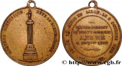 III REPUBLIC Médaille, Commémoration de la levée du siège de Lille