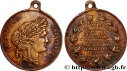 TROISIÈME RÉPUBLIQUE Médaille, Concours de musique, Exposition industrielle horticole