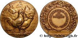 SOCIÉTÉS D AGRICULTURE, HORTICULTURE, PÈCHE ET CHASSE Médaille, Société d’aviculture