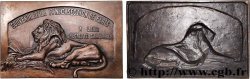 TROISIÈME RÉPUBLIQUE Plaque, Souvenir de la F. N. C. à leur regretté camarade