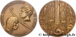 GUIANA Médaille, Conseil d’arrondissement de l’Inini