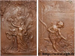 BELGIQUE - ROYAUME DE BELGIQUE - ALBERT Ier Plaquette, Exposition Universelle et Internationale, Comité français, Expositions à l’étranger
