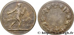 TROISIÈME RÉPUBLIQUE Médaille, Le semeur de Lagrange