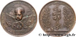 LOUIS XVIII Médaille, Naissance du Duc de Bordeaux