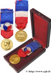 V REPUBLIC Médaille d’honneur du travail, Ministère du travail et de la sécurité sociale, Vermeil