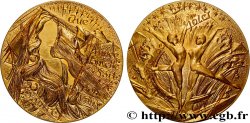 V REPUBLIC Médaille de voeux, source de joie