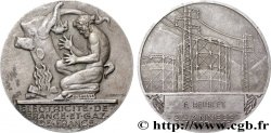 V REPUBLIC Médaille de mérite EDF / GDF