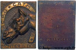 FUNFTE FRANZOSISCHE REPUBLIK Plaquette, Fonte, ACPG-CATM, Sommevoire GHM
