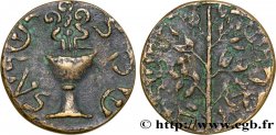 ISRAELE Médaille “Faux Shekel” juif copiant celui de Jérusalem