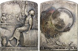 TROISIÈME RÉPUBLIQUE Plaque, La Vigne, mérite agricole