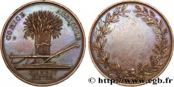 LOUIS-PHILIPPE Ier Médaille, Comice Agricole