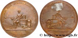 RUSSIE Médaille uniface, Johann Wilhelm Schlatter