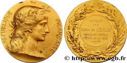 TERZA REPUBBLICA FRANCESE Médaille