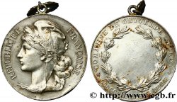TERCERA REPUBLICA FRANCESA Médaille des fêtes de mai