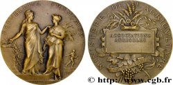 III REPUBLIC Médaille de récompense, Associations agricoles