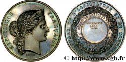 TERZA REPUBBLICA FRANCESE Médaille de récompense