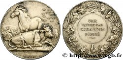 III REPUBLIC Médaille de la Société des agriculteurs de la Somme