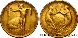 ÉTATS-UNIS D AMÉRIQUE Médaille, Exposition Panama-Pacific de San Francisco
